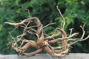 30x18 Inch Spiderwood Driftwood – The Perfect Hardscape for Aquascaping thumbnail 1