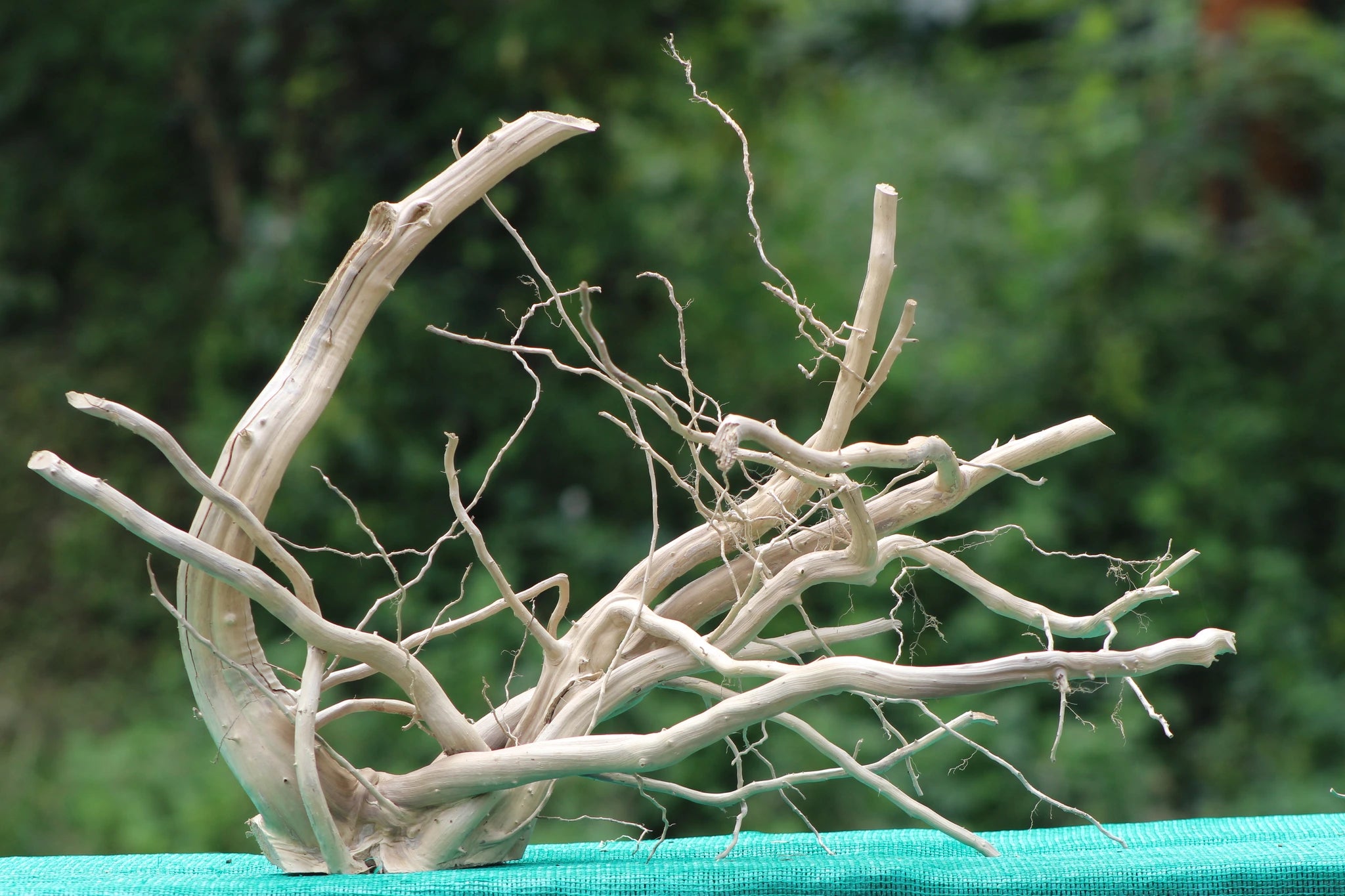 18x20 Inch Natural Driftwood Sculpture - Perfect for Aquariums, Terrariums, and Home Décor in India

