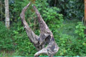 36x24-Inch Natural Bog Wood Branch Sculpture for Aquariums, Terrariums, and Home Decor thumbnail 1