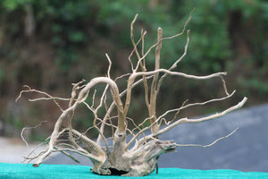 15x15 Inch Driftwood Sculpture | Perfect Aquascaping Hardscape