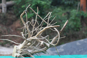Extra-Large Natural Driftwood - 30x24 Inch for Aquariums & Creative Décor thumbnail 1