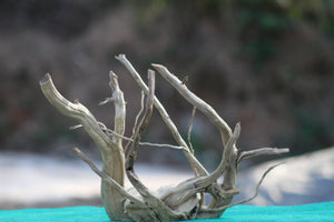 15x15 Inch Driftwood Sculpture | Perfect Aquascaping Hardscape