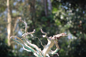 24x15 Inch Spiderwood Driftwood – Perfect Natural Hardscape for Planted Tanks thumbnail 1