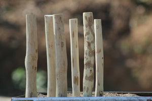 6 Pcs (45cm Each)  Premium Driftwood Stump Combo  – Perfect for underwater forest theme thumbnail 1