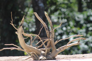 24x18 Inch Aquarium Driftwood for Aquariums, Terrariums & Natural Décor | Unique Driftwood thumbnail 1