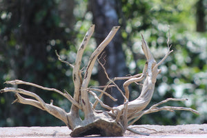 24x18 Inch Aquarium Driftwood for Aquariums, Terrariums & Natural Décor | Unique Driftwood thumbnail 2