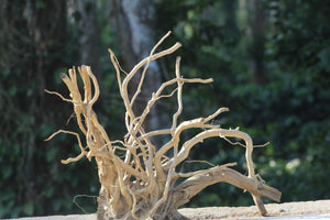 30x24 Inch Spider Wood – Premium Natural Driftwood with Wide Branching for Aquariums & Terrariums thumbnail 1