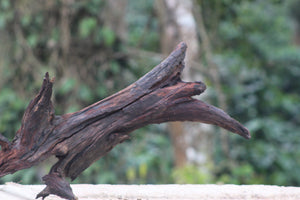 30x20 Inch River Driftwood – Natural Bogwood for Aquariums, Terrariums &Home Décor thumbnail 2