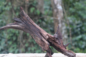 30x20 Inch River Driftwood – Natural Bogwood for Aquariums, Terrariums &Home Décor thumbnail 1