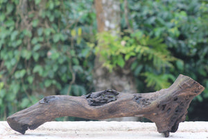 36x12 Inch River Driftwood Log – Natural Bogwood for Aquariums, Terrariums & Rustic Décor thumbnail 1