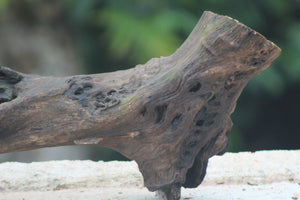 36x12 Inch River Driftwood Log – Natural Bogwood for Aquariums, Terrariums & Rustic Décor thumbnail 2