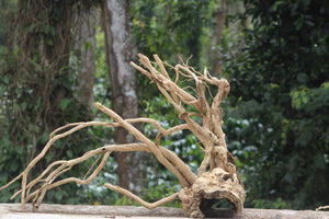 36×24 inch – Corner Driftwood with 8-inch Hiding Depth | Premium Single-Piece Natural Wood thumbnail 1