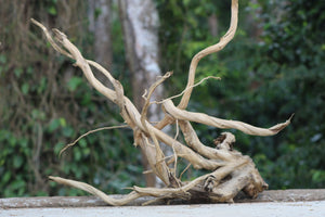 36×24 inch – Single-Piece Corner Driftwood | Premium Natural Wood for Large Aquascapes thumbnail 1