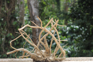 30×24 inch – Premium Centrepiece Driftwood | Single-Piece Natural Wood for Aquascapes & Décor thumbnail 1