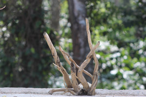 15×18 inch – Natural Driftwood Piece | Compact Vertical Wood thumbnail 1