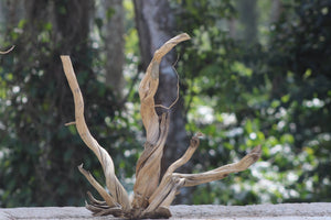 20×24 inch (L×H) – Unique Single-Piece Spiderwood | Twisted Natural Driftwood thumbnail 1