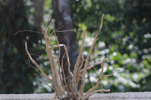 18x18 inch thumbnail 1