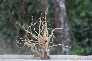 15×18 inch (L×H) – Natural Driftwood Piece | Compact Vertical Wood thumbnail 1