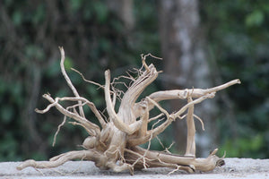 15×12 inch (L×H) – Natural Driftwood Piece | Compact Wood thumbnail 1