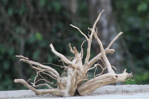 15×12 inch (L×H) – Natural Driftwood Piece | Compact Wood thumbnail 2