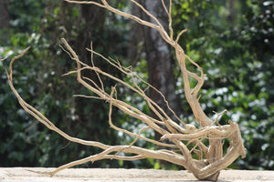 42×24 inch – Two-Piece Corner Driftwood Set | Premium Natural Wood for Large Aquascapes thumbnail 1