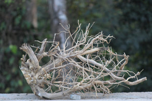 30×18 Inch Spiderwood — Dense Corner Piece for Deep, Immersive Layouts thumbnail 1