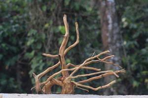 20×20 Inch Spiderwood — Balanced Mid-Size Centrepiece with Natural Flow thumbnail 1