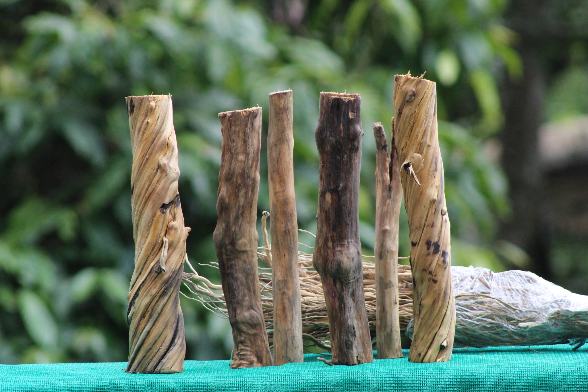 Stump wood pieces with detailed roots for aquascaping and aquarium decoration, set of 6 pieces at 45 cm with 250 grams of detailing roots, perfect for natural aquascapes and terrarium displays.