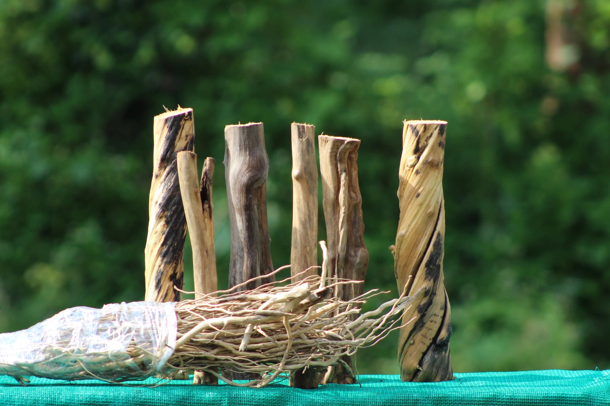 Stump wood pieces with detailed roots for aquascaping and aquarium decoration, set of 6 pieces at 45 cm with 250 grams of detailing roots, perfect for natural aquascapes and terrarium displays