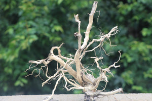 24x20 Inch Driftwood – Natural Hardscape for Aquariums &Terrariums thumbnail 1