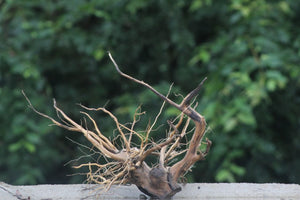 20x18 Inch Driftwood – Unique Hardscape for Aquariums & Terrarium thumbnail 1