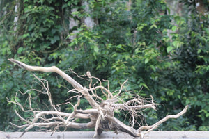 52x18 Inch Driftwood – XL Hardscape for Aquariums & Terrariums thumbnail 1