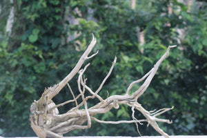 36×28 inch Aquarium Decoration Spiderwood thumbnail 1