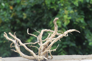 30×18 |Aquarium Decoration Spiderwood Driftwood  Centerpiece thumbnail 1