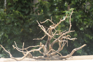 Majestic 48×24 Inch Driftwood Centerpiece – Natural Aquarium & Terrarium Wood thumbnail 1