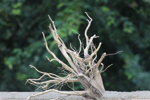 18×18 Inch Vertical Slant Driftwood – Dynamic Upright Design thumbnail 1