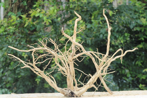 42×24 Inch (LXH)Aquarium Driftwood  | Majestic Centrepiece thumbnail 1