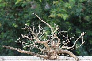 36×20 Inch (LXH) Aquarium Driftwood | Expansive Centrepiece for 3 Ft Aquariums thumbnail 1