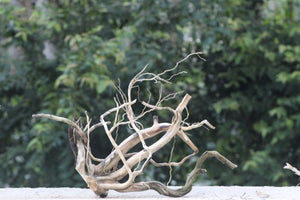 24×18 Inch (LXH) Aquarium Driftwood | Corner-Fit Spiderwood Design thumbnail 1