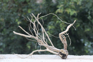 24×18 Inch Spiderwood for Aquariums | Corner Piece thumbnail 1