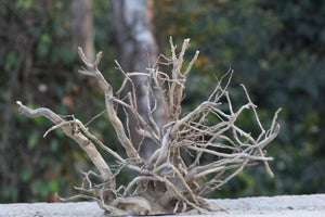 30 × 20 LxH Inch Natural Driftwood Centrepiece thumbnail 1