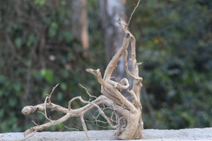 18 × 18 Inch Natural Driftwood