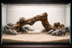 Silent Arc – Minimal Driftwood Statement (26 × 14 in) LxH thumbnail 1
