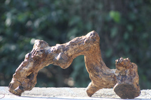 Silent Arc – Minimal Driftwood Statement (26 × 14 in) LxH thumbnail 2