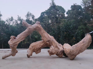 Timeless Rift – Sculptural Driftwood & Seiryu Stone Hardscape (2 pieces) thumbnail 2