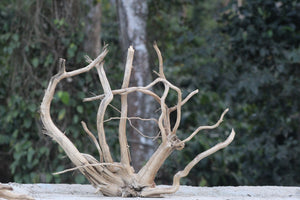 36 × 24 Inch Natural Driftwood Centrepiece thumbnail 2