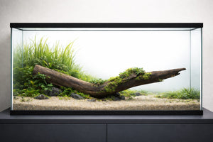 Seiryū — Quiet Flow 4ft hollow tunnel piece thumbnail 1