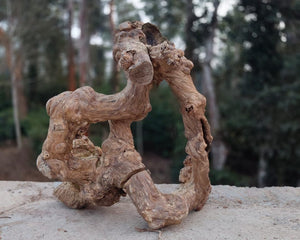 Worm Hole - Portal by Unique Driftwood 20x24 inch LXH thumbnail 2