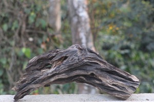 Underwater Silk Route – Driftwood Bridge Hardscape thumbnail 2
