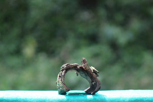 Natural 1 Square Foot Tree Bark for Aquascaping & Terrarium Design thumbnail 3